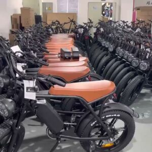 Buy Electric Bike Pallets