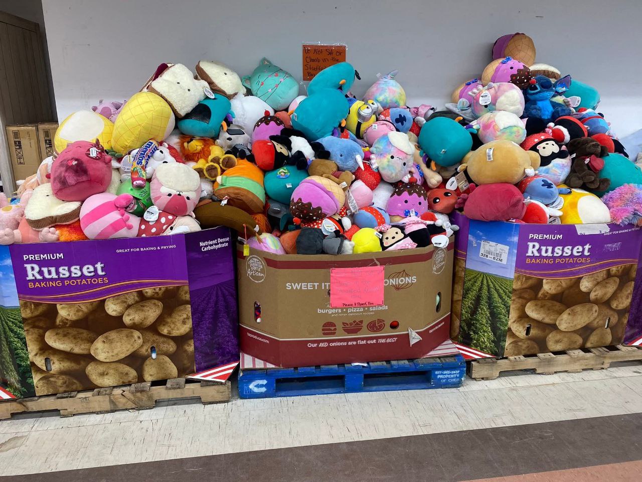 Buy Wholesale Dog Toys By The Pallet